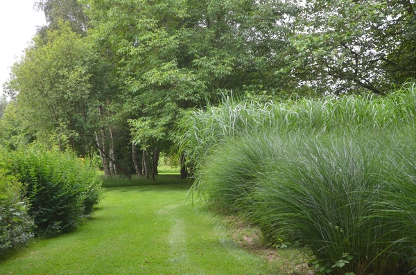 001 LOSJES....IN DE PAS...!