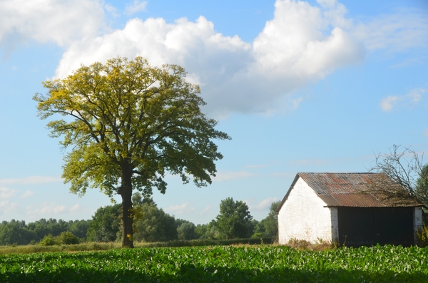 002 VREUGDE WOLKJES.....!