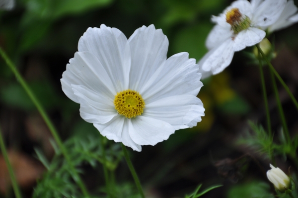 041