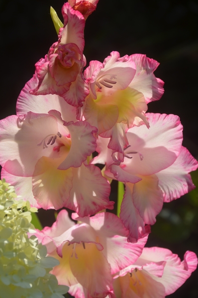 044