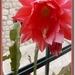 sized_P1030470