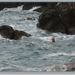 sized_P1030512