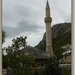 sized_P1030907