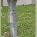 sized_P1030954