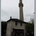 sized_P1030969