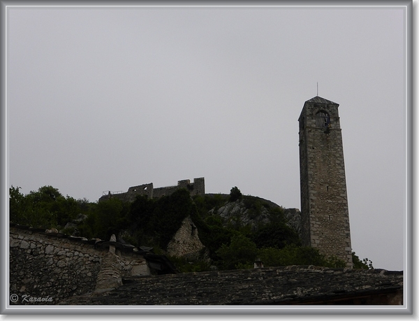 sized_P1030989
