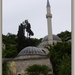 sized_P1030990
