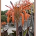 sized_P1040467