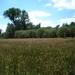Larumse heide