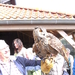 BILD0505