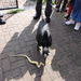 DSC02440