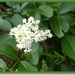 sized_P1040697