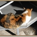 sized_P1040895