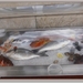 sized_P1050220