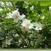 sized_P1050248