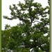 sized_P1050254