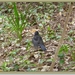 sized_P1050255