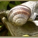 sized_P1050279
