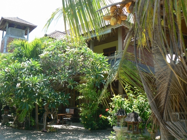 Mooie planten en palmbomen rondom het huis