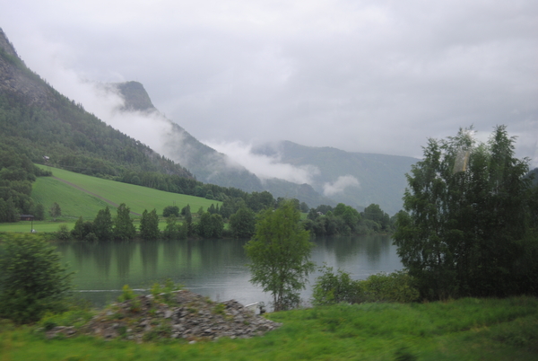 Vanuit de bus