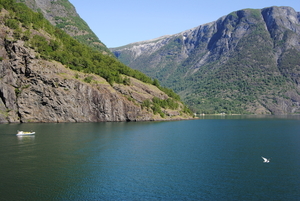 Boottocht op Naerofjord en Aurlandsfjord