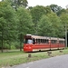 Bomenkap voor nieuwe sporen tramlijn 1    (16 augustus 2018)