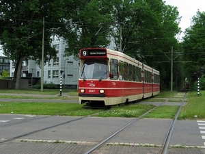 Passage van twee (drie) museumtrams en een GTL bij de Dedemsvaart