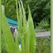sized_P1070031