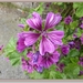 sized_P1070045