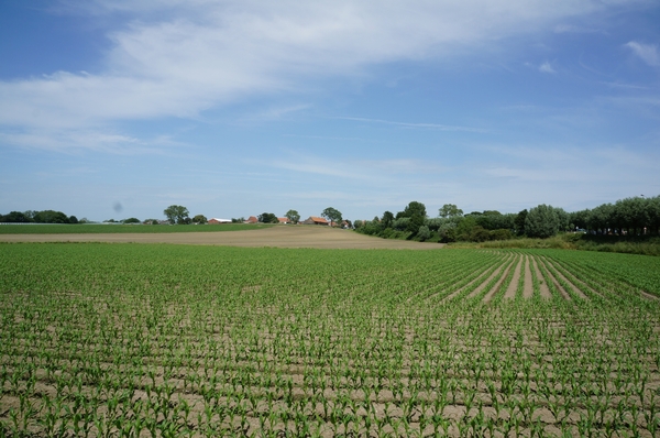 Stadenberg