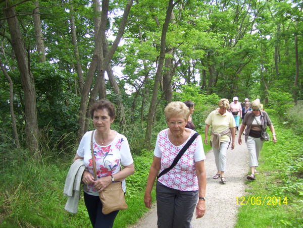 Wandelen in Roosendael - 12 juni 2014