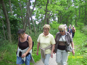 Wandelen in Roosendael - 12 juni 2014