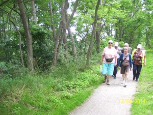 Wandelen in Roosendael - 12 juni 2014