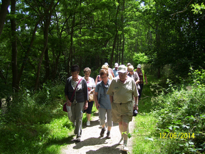 Wandelen in Roosendael - 12 juni 2014