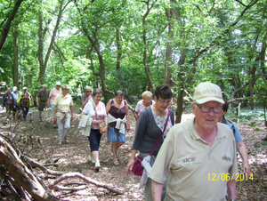 Wandelen in Roosendael - 12 juni 2014