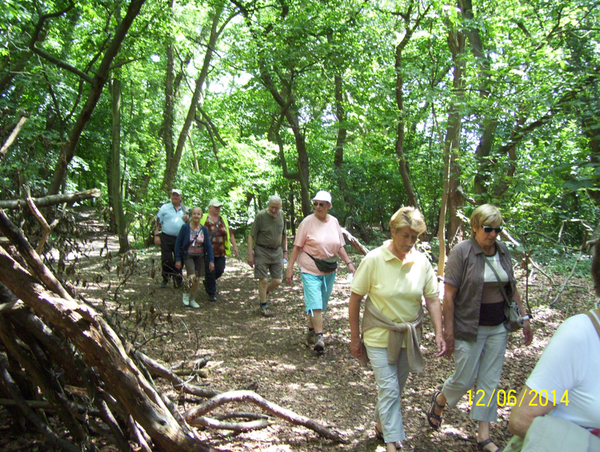 Wandelen in Roosendael - 12 juni 2014