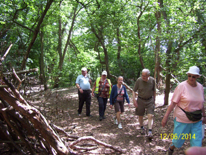 Wandelen in Roosendael - 12 juni 2014