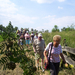 Wandelen in Roosendael - 12 juni 2014