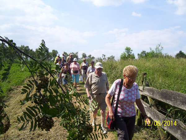 Wandelen in Roosendael - 12 juni 2014