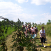 Wandelen in Roosendael - 12 juni 2014