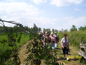 Wandelen in Roosendael - 12 juni 2014