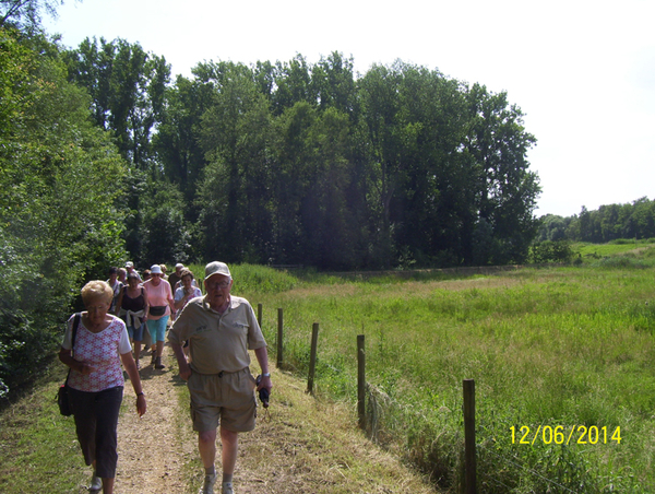 Wandelen in Roosendael - 12 juni 2014