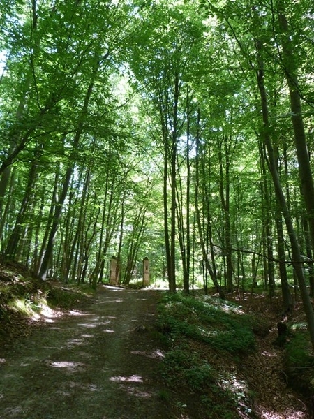 22-Doorheen het park van Tervuren