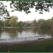 Vijver