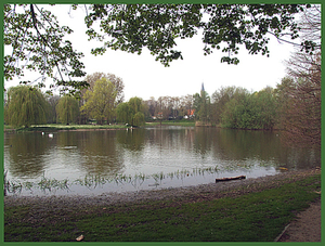 Vijver