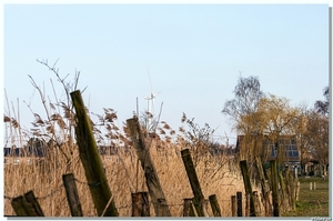 DSC_1121 - Langs de Moervaart