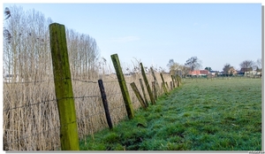 DSC_9501 - Langs de Moervaart