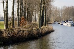 DSC_9543 - Langs de Moervaart