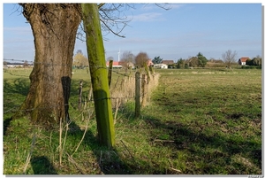 DSC_9544 - Langs de Moervaart