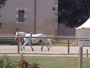 Eerste indruk van Cluny